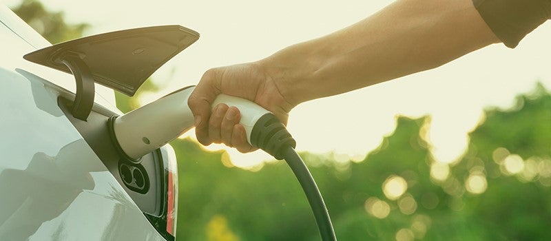 Hand inserts white charging plug into an electric car's port. Green bokeh background, bright sunlight.