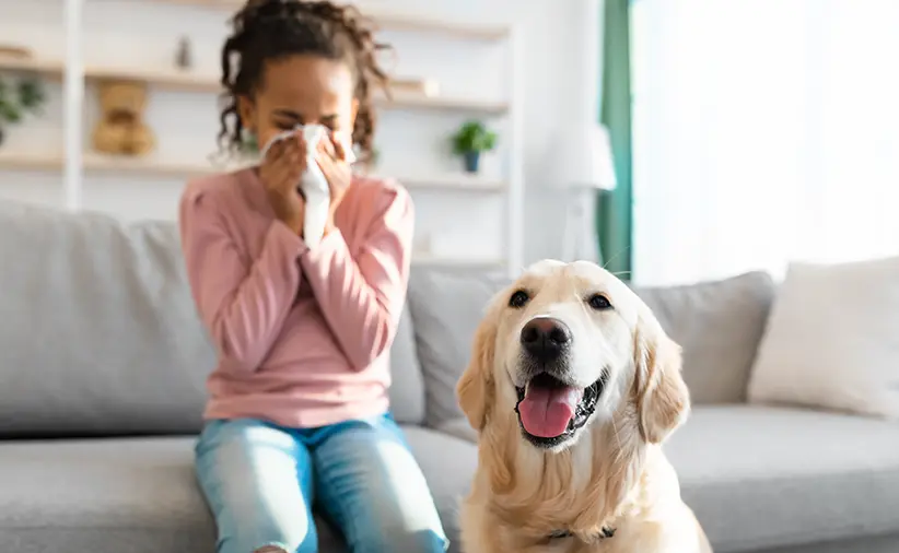 A woman sneezing next to a dog