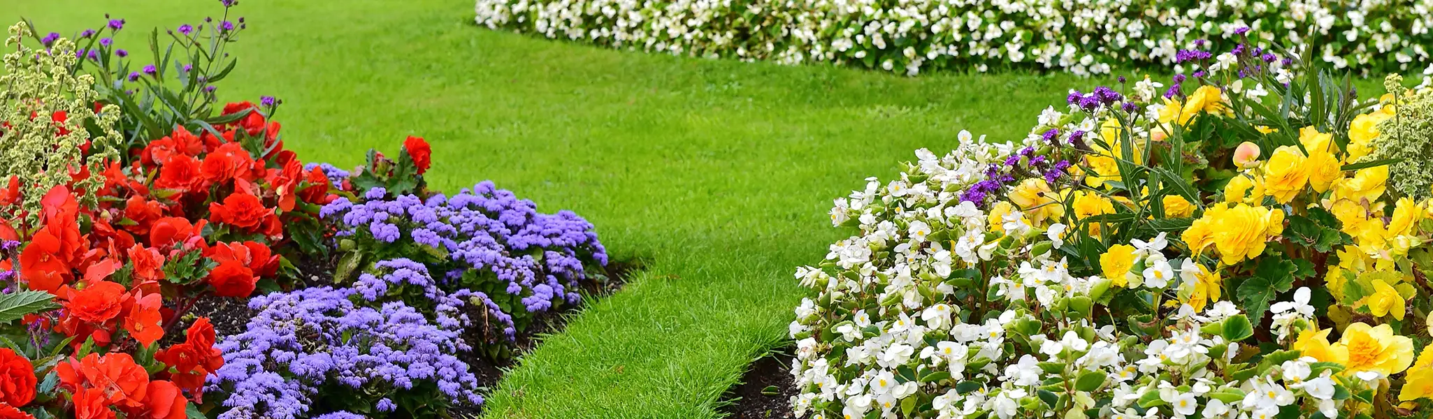A vibrant flower bed with red, purple, white, and yellow flowers separated by green grass pathways.